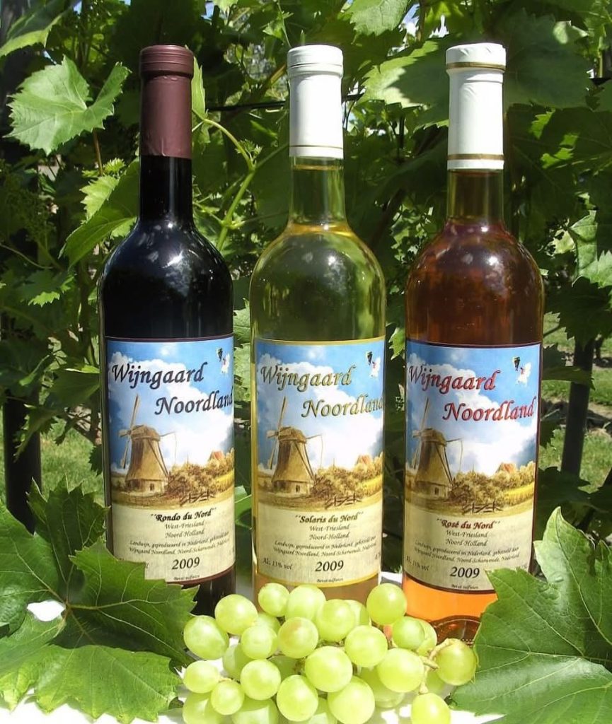 Wijngaard Noordland